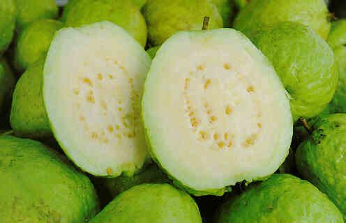foto guava