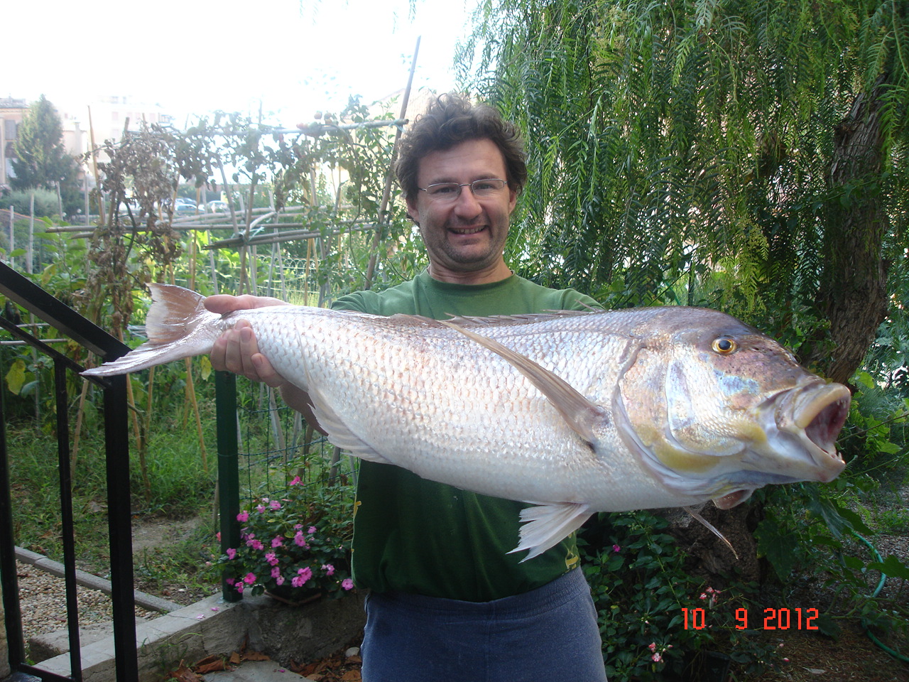 foto filippo
