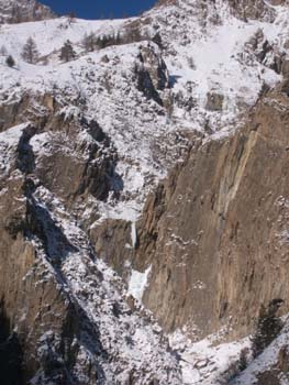 Il Cigare de Sanfoins non ancora formato (foto M. Sanguineti) (2)