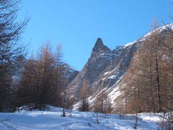 Nel Vallon de Mary (foto M. Sanguineti) (1)