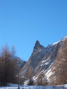 Nel Vallon de Mary (foto M. Sanguineti) (2)