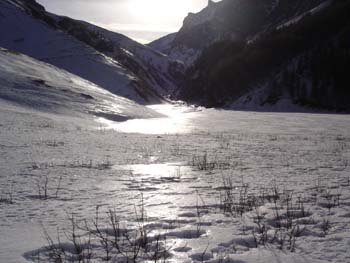 Nel Vallon de la Cabriette (foto M. Mazzetti) (1)