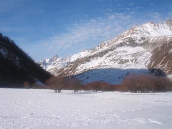 Nel Vallon de la Cabriette (foto M. Mazzetti) (2)